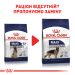 Royal Canin (Роял Канин) Maxi Adult 5+ - Сухий корм для собак крупных пород старше 5 лет