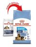 Royal Canin (Роял Канин) Maxi Starter - Сухой корм для щенков крупных пород