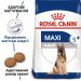 Royal Canin (Роял Канин) Maxi Adult 5+ - Сухий корм для собак крупных пород старше 5 лет