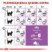 Royal Canin (Роял Канин) Sterilised 7+ - Сухой корм для кастрированных котов и кошек старше 7 лет