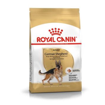 Royal Canin (Роял Канин) German Shepherd - Сухой корм для немецких овчарок