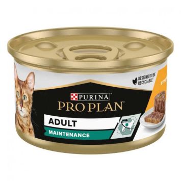 Purina Pro Plan Adult Maintenance (банка) Консервы для кошек Паштет с кусочками курицы 85 гр ж/б