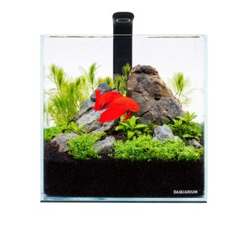 Collar (Коллар) AquaLighter Pico Set - Аквариумный набор для рыб, 5 л