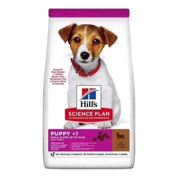 Hill's (Хиллс) Science Plan Small&Mini - Сухой корм с ягнёнком и рисом для щенков малых пород, беременных и кормящих самок