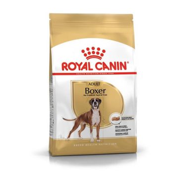 Royal Canin (Роял Канин) Boxer - Сухой корм для боксеров