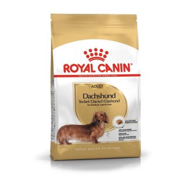Royal Canin (Роял Канин) Dachshund - Сухой корм для такс