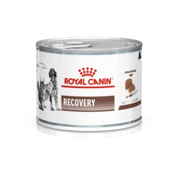 Royal Canin (Роял Канин) Recovery - Лечебные консервы для собак и кошек в восстановительный период после болезни