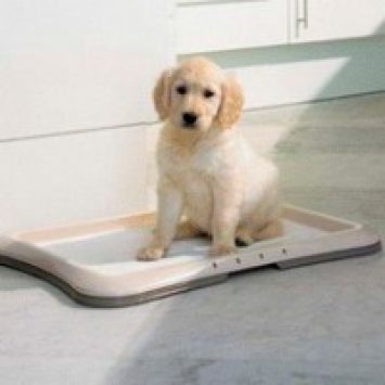 Savic ПАППИ ТРЭЙНЕР (Puppy Trainer) туалет для собак, пластик, 60Х48Х4 см.