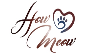 How Meow