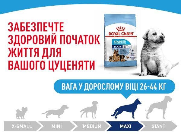 Переваги