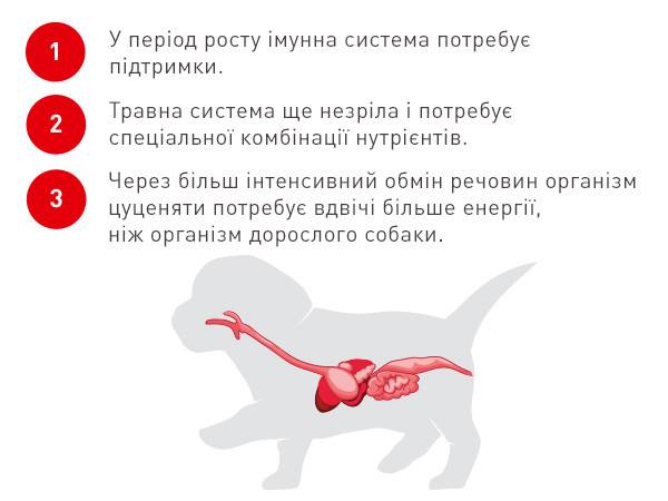 Переваги