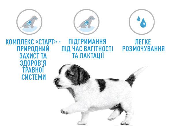 Переваги