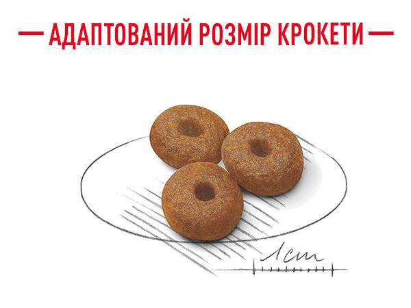 Переваги