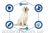 Advance (Эдванс) Dog Labrador - Корм для взрослых собак породы лабрадор