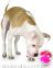 Planet Dog Orbee-Tuff Игрушка-лабиринт для лакомств для собак