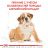 Royal Canin (Роял Канин) Bulldog Puppy - корм для щенков английского бульдога