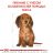 Royal Canin (Роял Канин) Dachshund Puppy - корм для щенков таксы