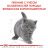 Royal Canin (Роял Канин) Kitten British Shorthair - корм для котят породы Британская короткошерстная