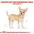 Royal Canin (Роял Канін) Chihuahua Adult корм для чихуахуа
