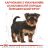 Royal Canin (Роял Канин) Yorkshire Terrier Puppy - корм для щенков йоркширского терьера