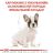 Royal Canin (Роял Канин) French Bulldog Puppy - корм для щенков французского бульдога
