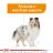 Royal Canin (Роял Канин) Coat Care Консервированный корм для собак разных размеров с тусклой и жесткой шерстью (паштет)
