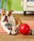 Jolly Pets Romp-N-Roll Мяч с канатом для собак, 22 см