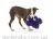 West Paw (Вест Пау) Fergus - Игрушка-пищалка Фергус пушистый для собак