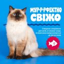 SynergyLabs (Синерджи Лабс) Dental Fresh Original For Cats - Жидкость от зубного налета и запаха из пасти кошек