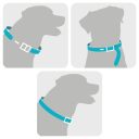 Sergeant's Guardian (Гардиан) - Ошейник от блох и клещей для собак и щенков всех пород