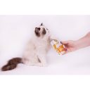 Brit Care Cat (Брит Кеа) Soup with Duck - Влажный беззерновой корм для кошек (суп с уткой)