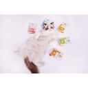 Brit Care Cat (Брит Кеа) Soup with Turkey - Влажный беззерновой корм для кошек (суп с индейкой)