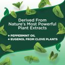 Vet`s Best (Ветс Бест) Flea & Tick Yard and Kennel Spray – Спрей от блох, клещей и москитов во дворе