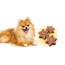 Brit Care (Брит Кеа) Mini Treats Shine - Лакомство для собак малых пород, для блеска шерсти, с лососем