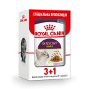 Royal Canin (Роял Канін) Sensory Smell in Gravy – Вологий корм з м'ясом та рибою для дорослих кішок, що стимулює нюхові рецептори (шматочки в соусі)