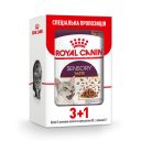 Royal Canin (Роял Канин) Sensory Taste in Jelly – Влажный корм с мясом для взрослых кошек, стимулирующий вкусовые рецепторы (кусочки в желе)