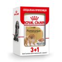 Royal Canin (Роял Канин) Pomeranian Loaf – Консервированный корм для взрослых и стареющих собак породы померанский шпиц (паштет)