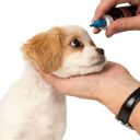 Beaphar (Беафар) Oftal Раствор для очищения глаз собак и кошек