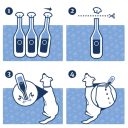 PetArmor Петармор X-Large - Капли от блох, клещей и вшей для собак 40-60 кг (4.02мл)