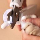 AnimAll (ЭнимАлл) - Когтерез с LED подсветкой и контейнером для сбора когтей