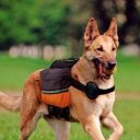 Ferplast (Ферпласт) DOG SCOUT вьючная сумка для собак