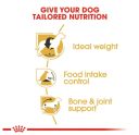 Royal Canin (Роял Канин) Beagle Adult - Сухой корм для собак породы бигль