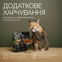 Savory (Сейвори) Cats Snacks Crunchy Balls - Лакомства хрустящие для взрослых привередливых котов, шарики с кошачьей мятой