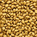 Versele-Laga (Верселе-Лага) NutriBird P19 Original Breeding - Полнорационный корм корм для крупных попугаев