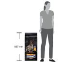 Pro Plan Adult All Sizes Protein & Energy – Сухой корм для взрослых активных и рабочих собак всех пород, с курицей