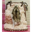 MiniAniman (МиниЭнимен) Hamster Warm Pocket Bed  - Мягкий карман для хомяка подвесное спальное место