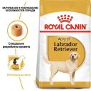 Royal Canin (Роял Канин) Labrador Adult - Сухой корм для лабрадоров ретриверов