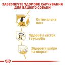 Royal Canin (Роял Канин) Labrador Adult - Сухой корм для лабрадоров ретриверов