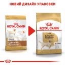 Royal Canin (Роял Канин) Labrador Adult - Сухой корм для лабрадоров ретриверов