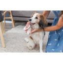 Trixie (Трикси) - Салфетки очищающие универсальные с алоэ для кошек и собак